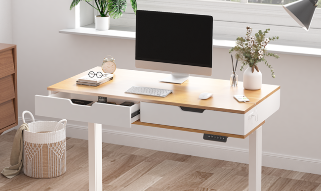 FlexiSpot Esben Standing Desk